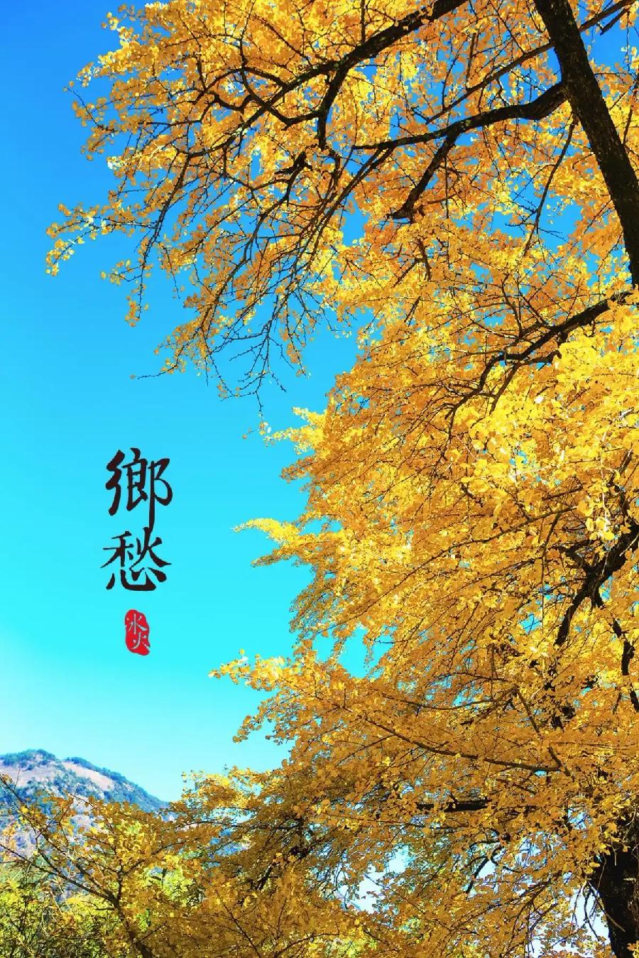 立冬的乡愁：文◎张登盛｜海外头条（图5）