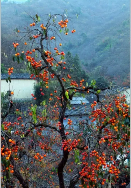 神经导能疗法对人体漏电现象的有效作用（文/孙述考）……莲叶之珠文学社（图4）