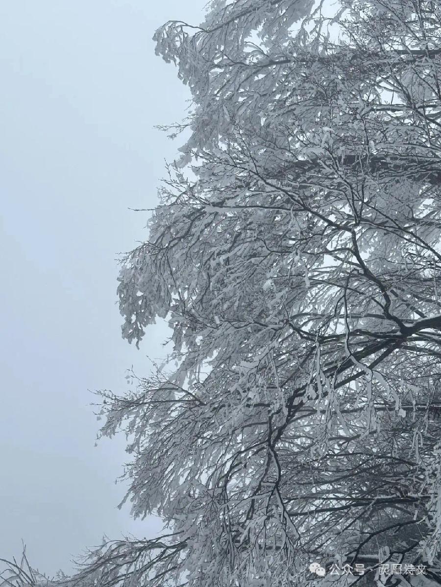 灵犀诗文乐园联诗.雪（图2）