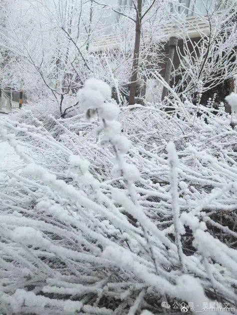 灵犀诗文乐园联诗.雪（图3）