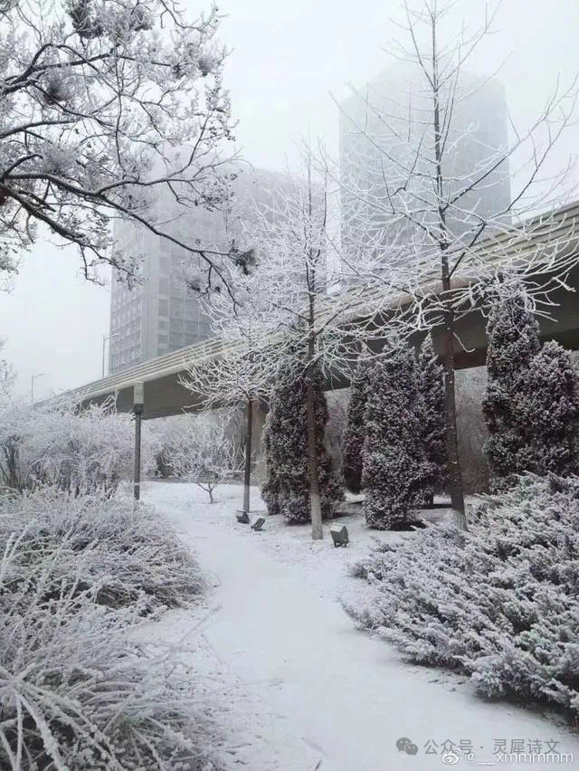 灵犀诗文乐园联诗.雪（图4）