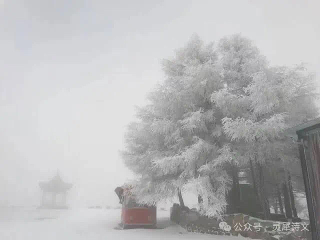 灵犀诗文乐园联诗.雪（图13）