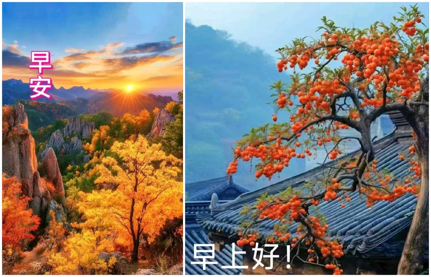 【经典推荐】鲁坡//施仁泰运长[何惧征途多险阻]（图4）