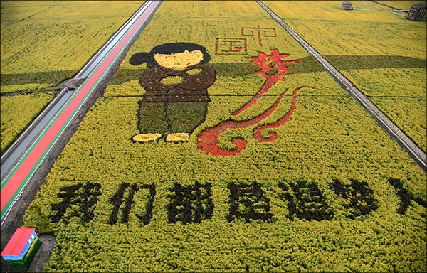 【经典推荐】鲁坡//施仁泰运长[何惧征途多险阻]（图8）