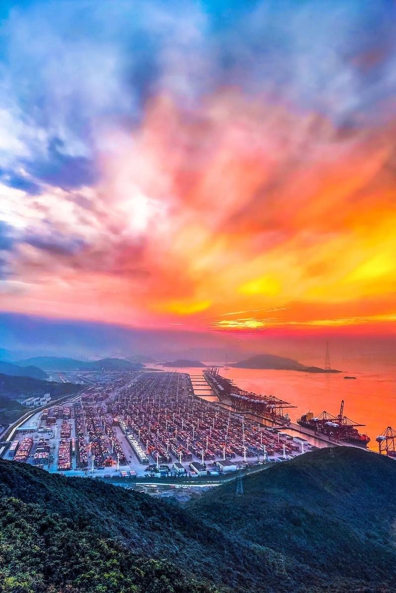 骆驼草：自励朗诵《走向复兴路》海外头条（图5）