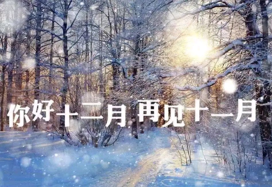 《十二月你好》作者:回泉山人 [中国现代诗歌文化传媒]（图6）