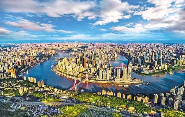 「散文诗」我与斑鸠交朋友（图17）