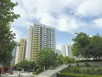 「散文诗」我与斑鸠交朋友（图18）