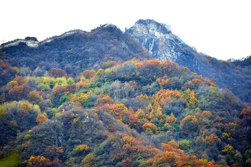 欣赏梁正明老师风入松·《初冬旅北方》（图2）