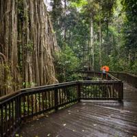 云南旅居有感 作者：逯家驹（图2）