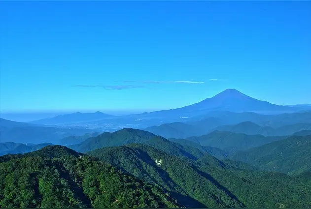 踏莎行·晨练（文/金刚悬剑）……莲叶之珠文学社