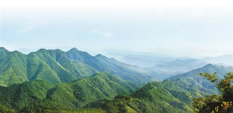 踏莎行·晨练（文/金刚悬剑）……莲叶之珠文学社（图4）
