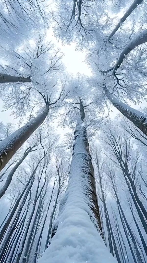 七律-甲辰大雪写怀～诗||柳洪（图14）