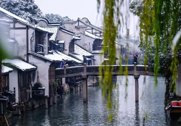 【新山东文学社】《与冬相约在水乡》作者/张秀祥 主播/竹韵丽影(图6)