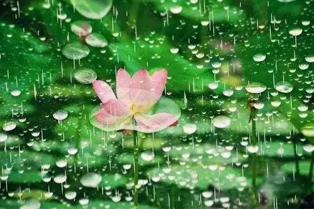 【新山东文学社】《诗词一组(十首)》作者/唐增虎 主播/雨花石(图5)