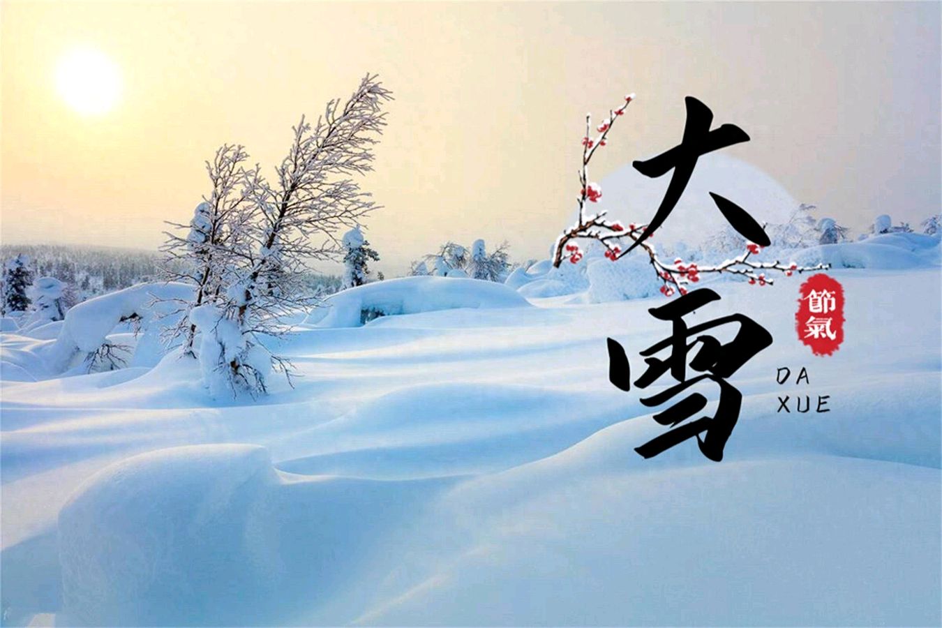 【明心文学】松阳河畔/雪-七律三首 主播/薇薇（图4）