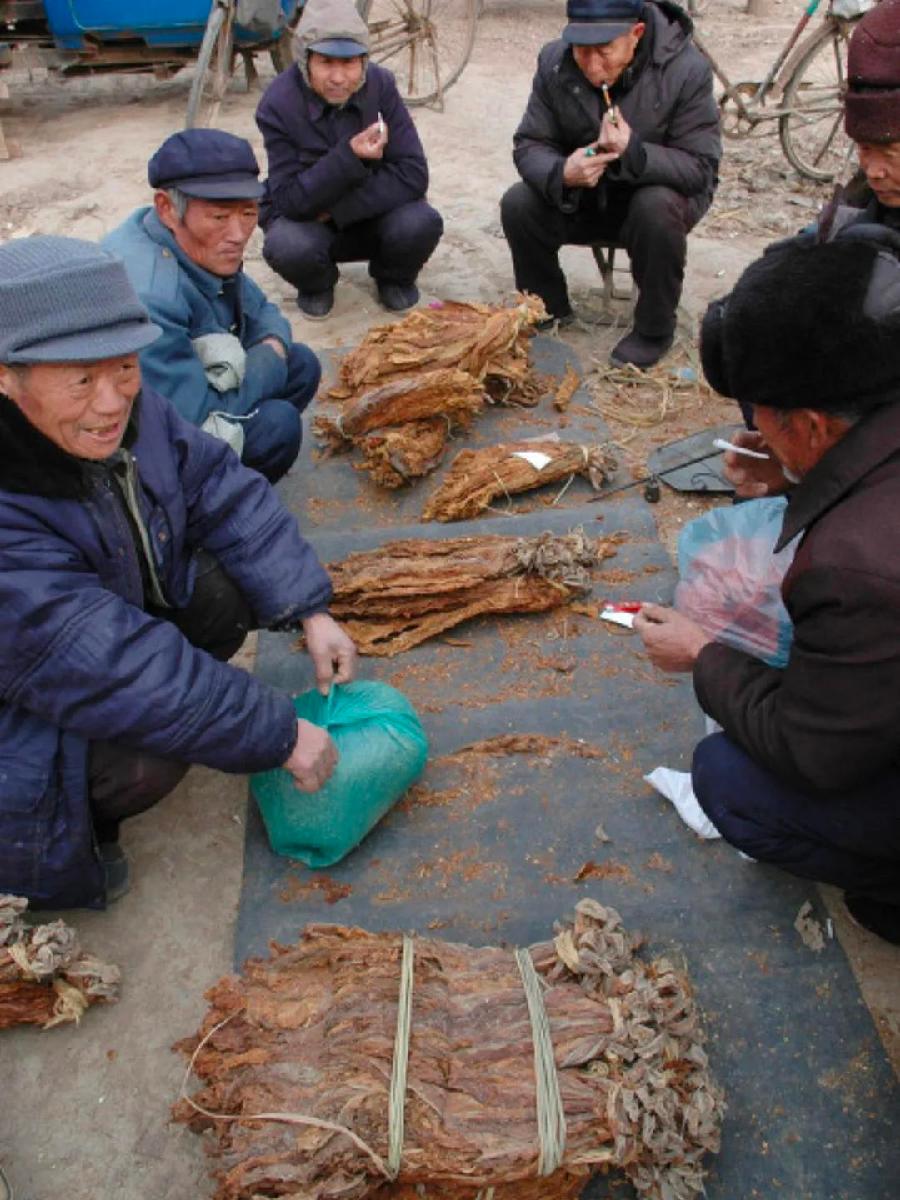 饲养室的故事会 作者:程增庄 主播:蝴蝶兰（图3）