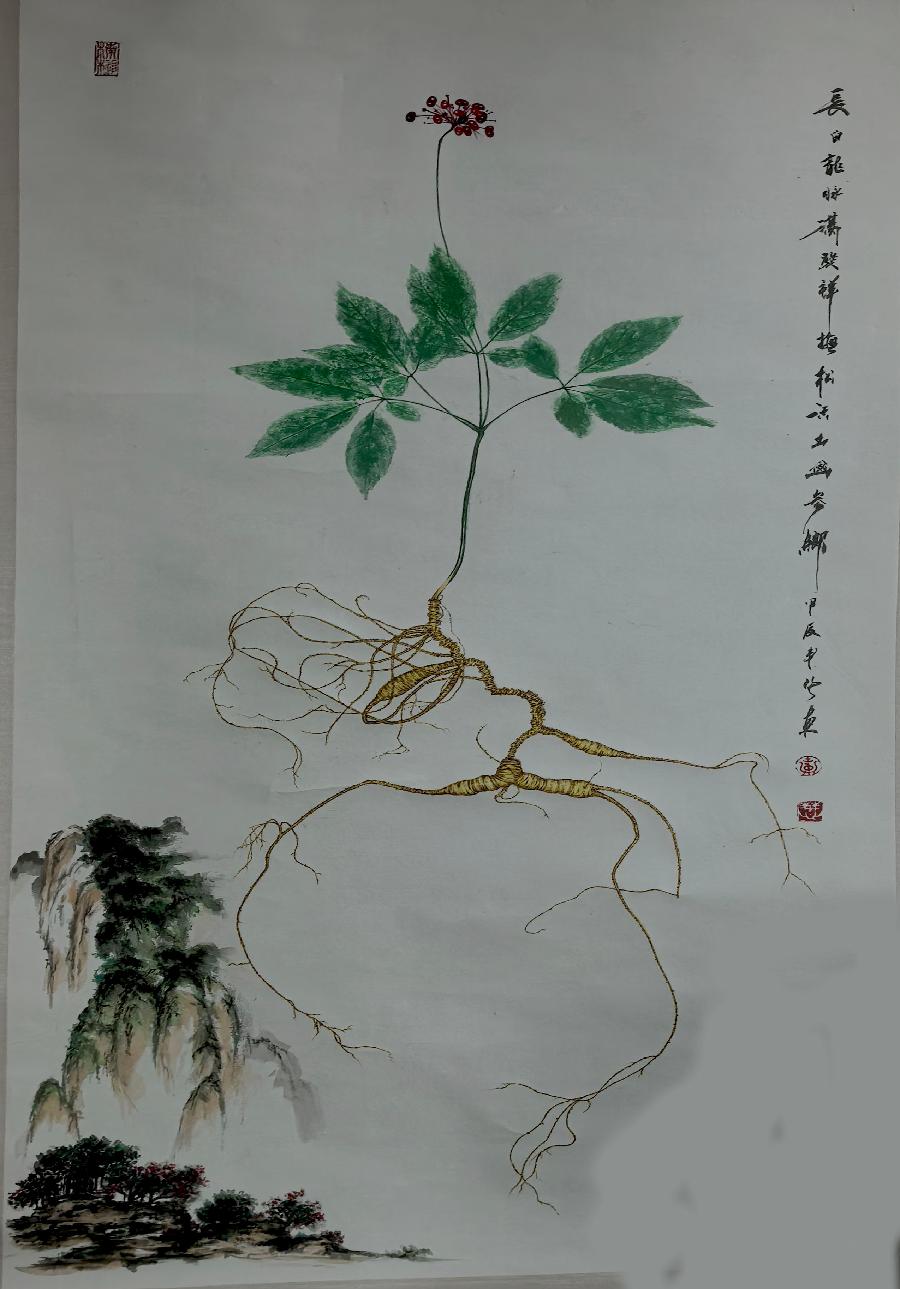 烙画人参3 烙画人参3