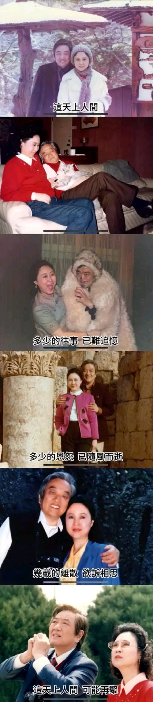 悼琼瑶～诗||李耀文（图13）