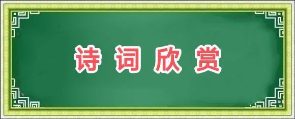 扈秀英词选/中华诗艺社黑龙江分社推荐（图4）