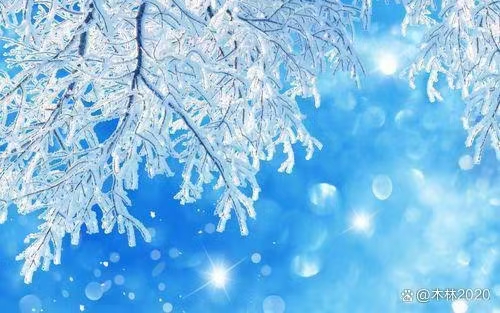 蓝晓宇:在雪地上流浪(外一首)/中华诗艺社黑龙江分社推荐（图9）