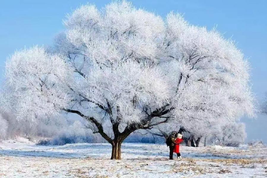 蓝晓宇:在雪地上流浪(外一首)/中华诗艺社黑龙江分社推荐（图8）