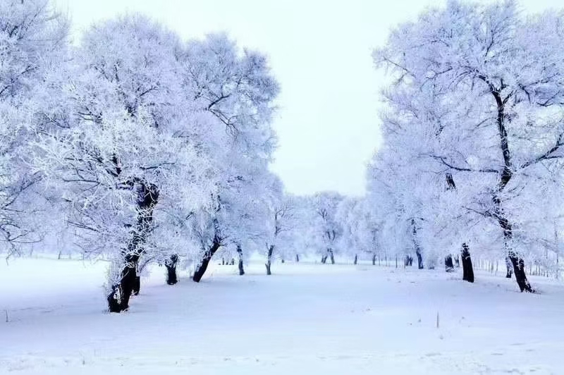 蓝晓宇:在雪地上流浪(外一首)/中华诗艺社黑龙江分社推荐（图13）
