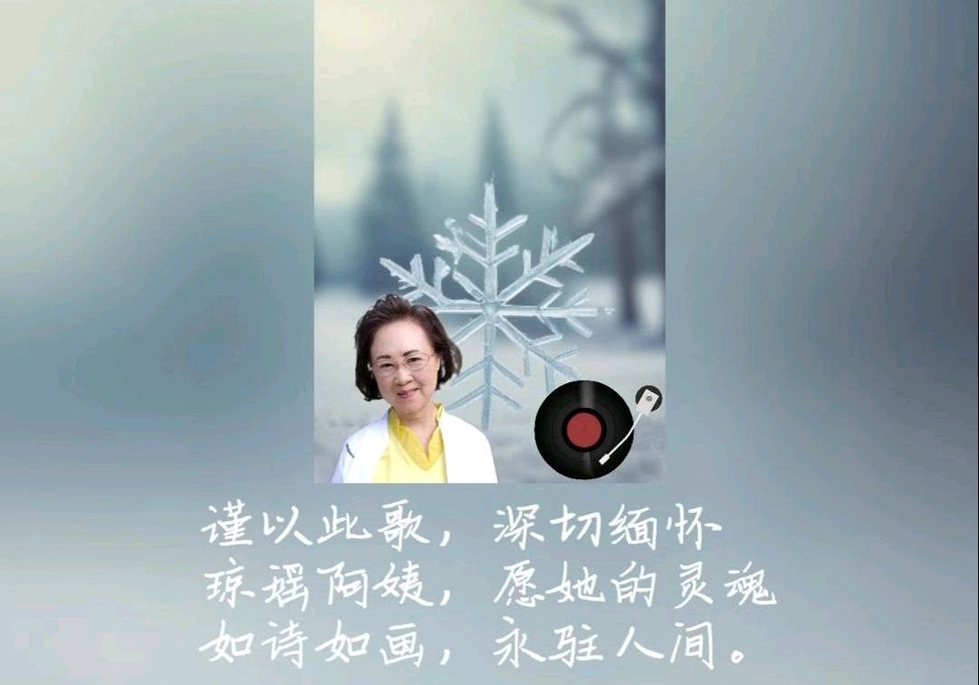 一朵翩然的雪花～诗||芳菊（图13）
