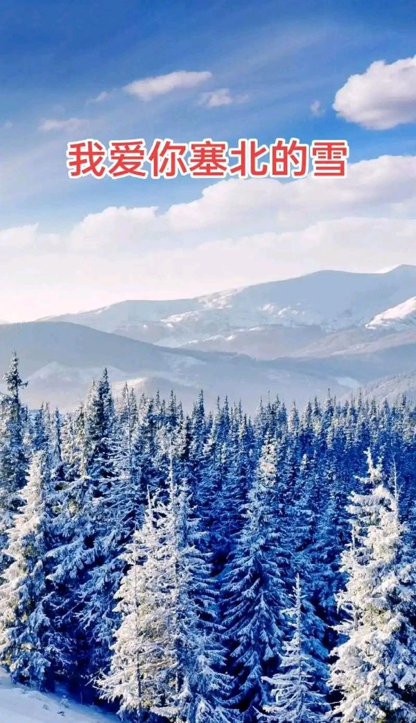又逢大雪～诗||吴永良（图8）