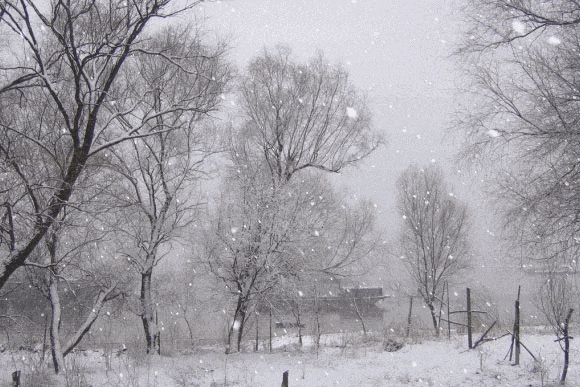 请欣赏何霖生老师的佳作‖绝句《大雪》平水韵/朗诵:心儿（图2）