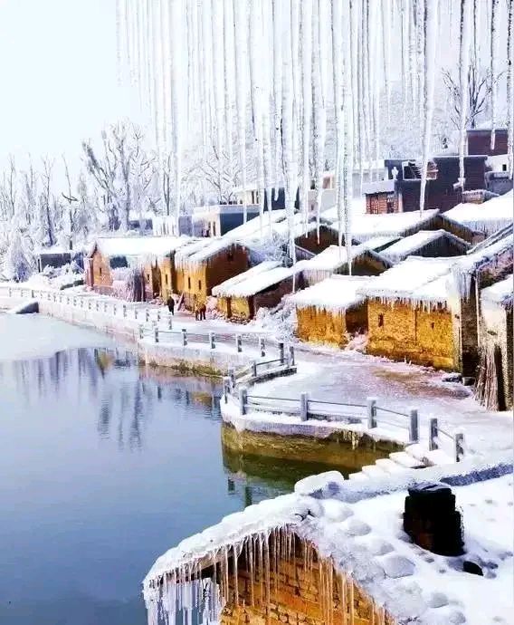 「诗歌」今日大雪入深冬（图7）
