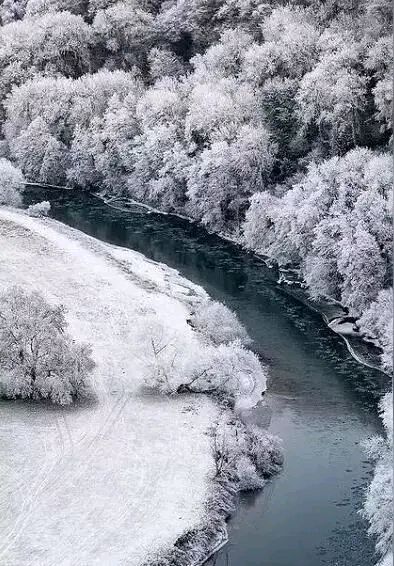 「诗歌」今日大雪入深冬（图8）
