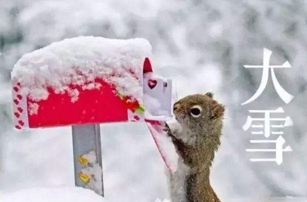大雪‖巴彦诗词楹联协会【795】（图2）