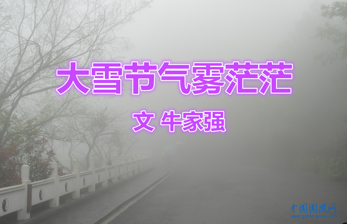 1733486805198.png