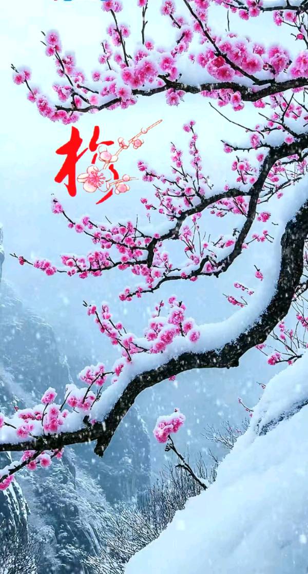 七律-大雪（外一首）诗||旗袍（图9）