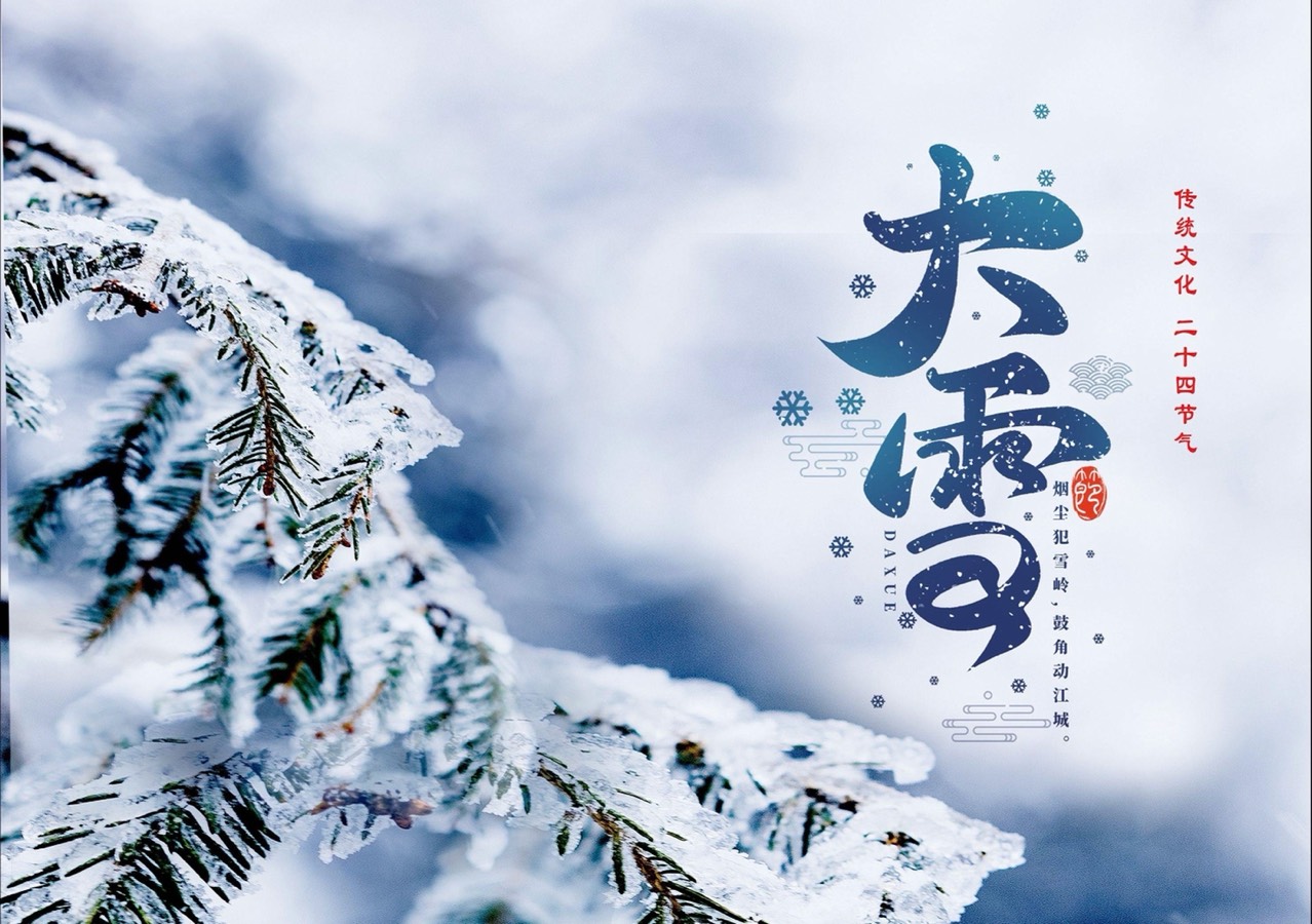 【新诗大观】大雪||文/张道发（图4）