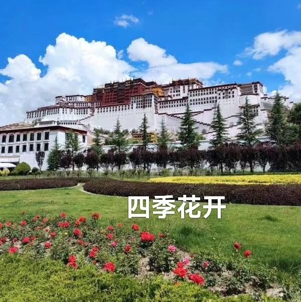 （叙事散文诗）：大昭寺||作者·丁培恭｜海外头条（图14）