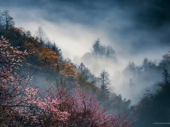 更漏子·家山烟雨（文/许碧霞）……莲叶之珠文学社