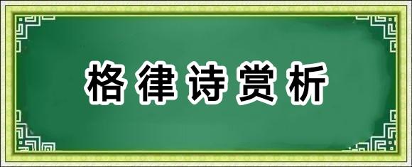 杨玉才自析悼亡琼瑶诗/中华诗艺社黑龙江分社推荐（图4）