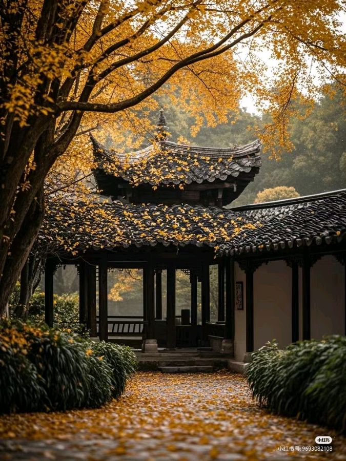 【蓝月亮诗刊】签约诗人:周厚华/清平乐.老家(外十三首)(图4)