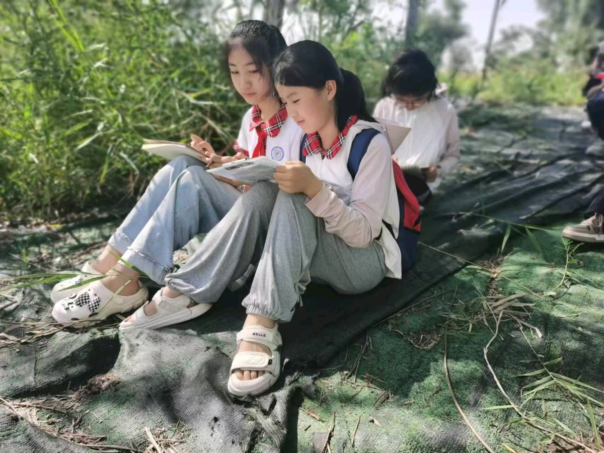 李靖水:县域文学特色教育经验交流发言稿(图5)