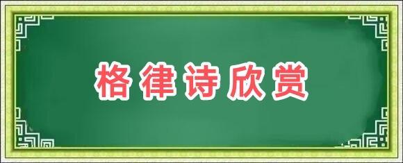 于金奎格律诗选/中华诗艺社黑龙江分社推荐（图3）