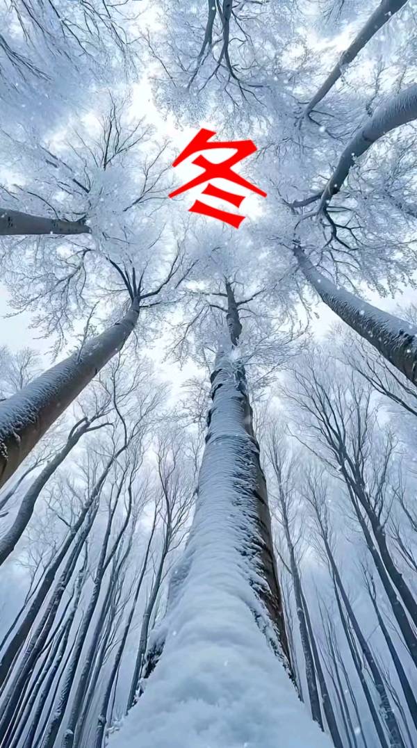 三 行诗十首：作者||金国民｜海外头条（图5）