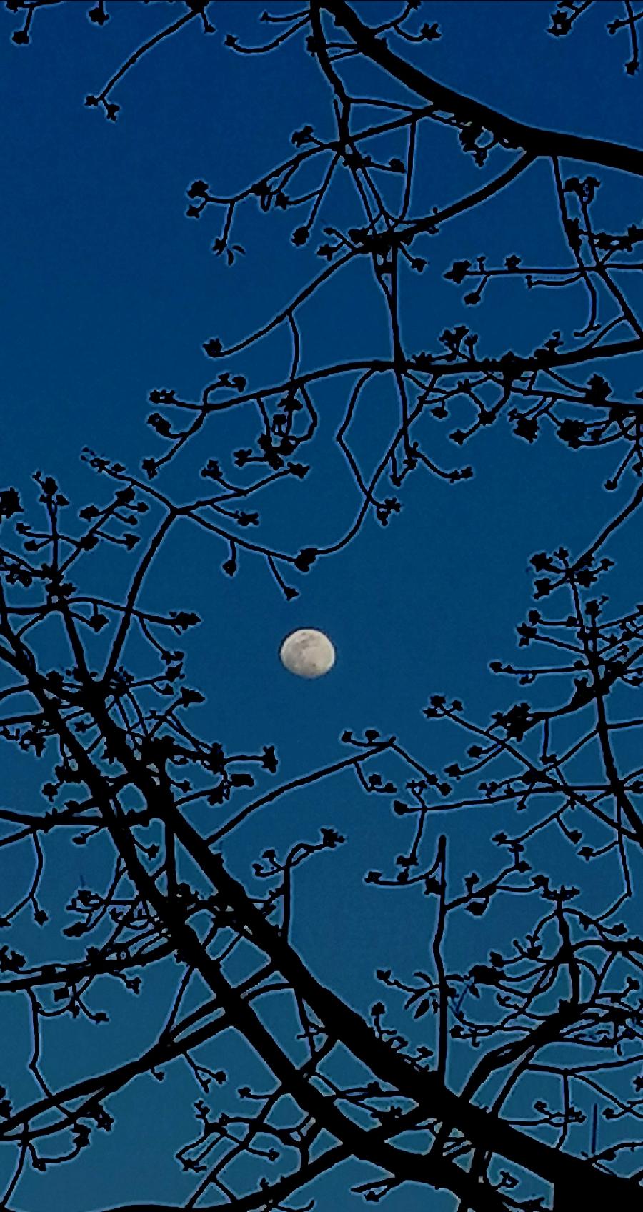 谒金门 . 夜色（外一首）文/江冲（图4）