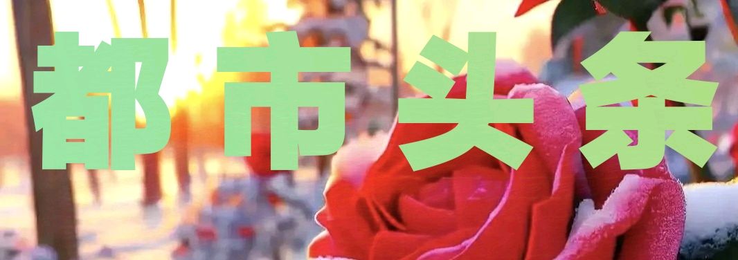 荐赏:寒夜思情//文/风华依旧//《诗奔流》征稿……