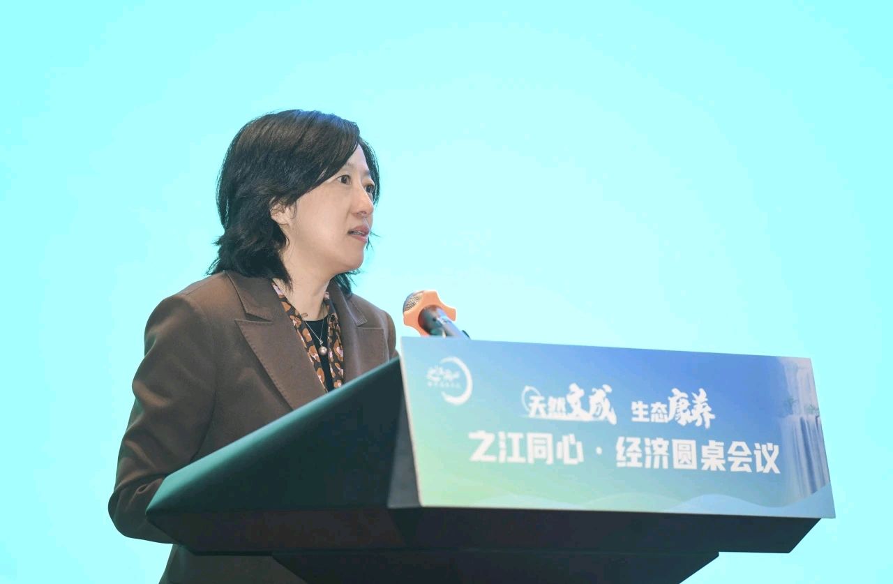 之江同心·筑梦文成——携手打造生态康养增长极(图4)