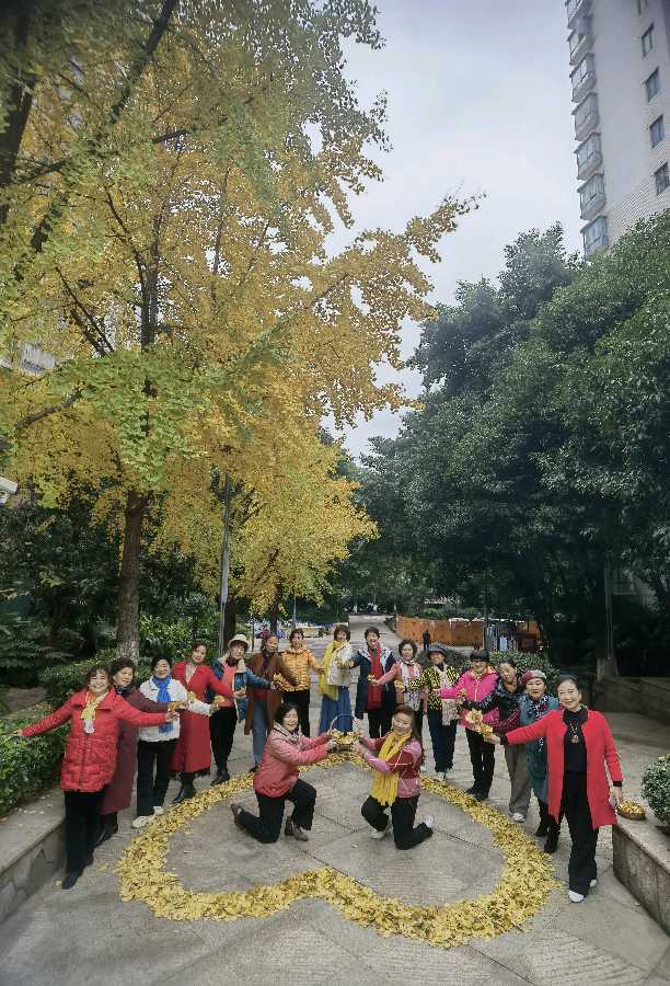 「散文」又是一年叶儿黄（图3）