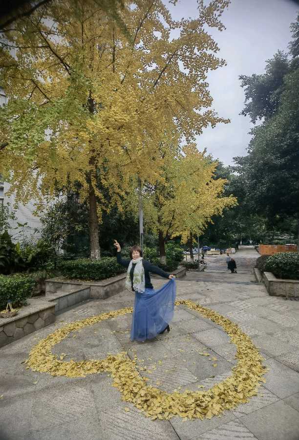 「散文」又是一年叶儿黄(图14)