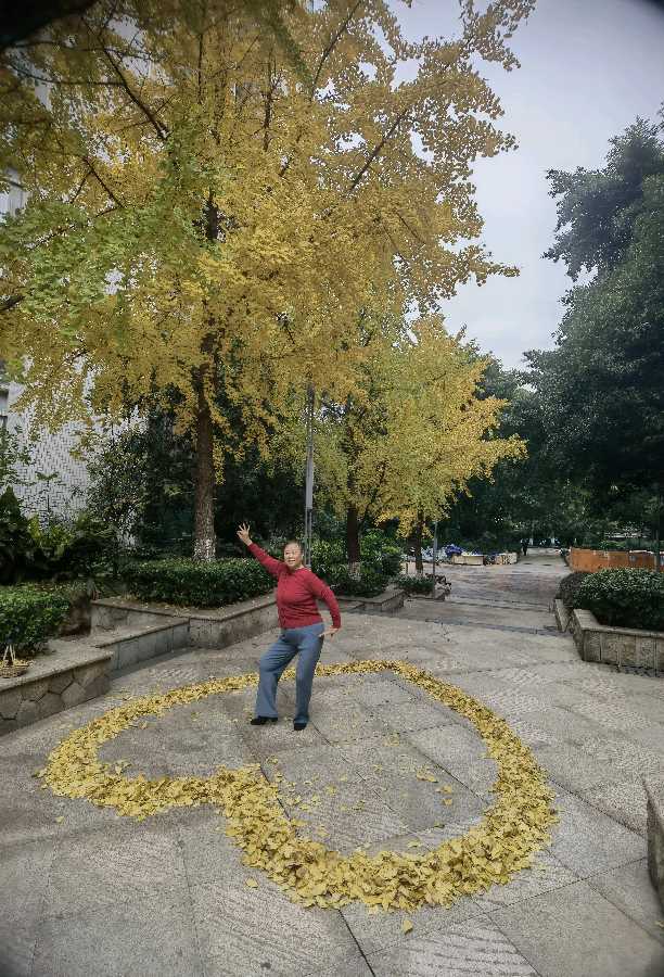 「散文」又是一年叶儿黄（图13）