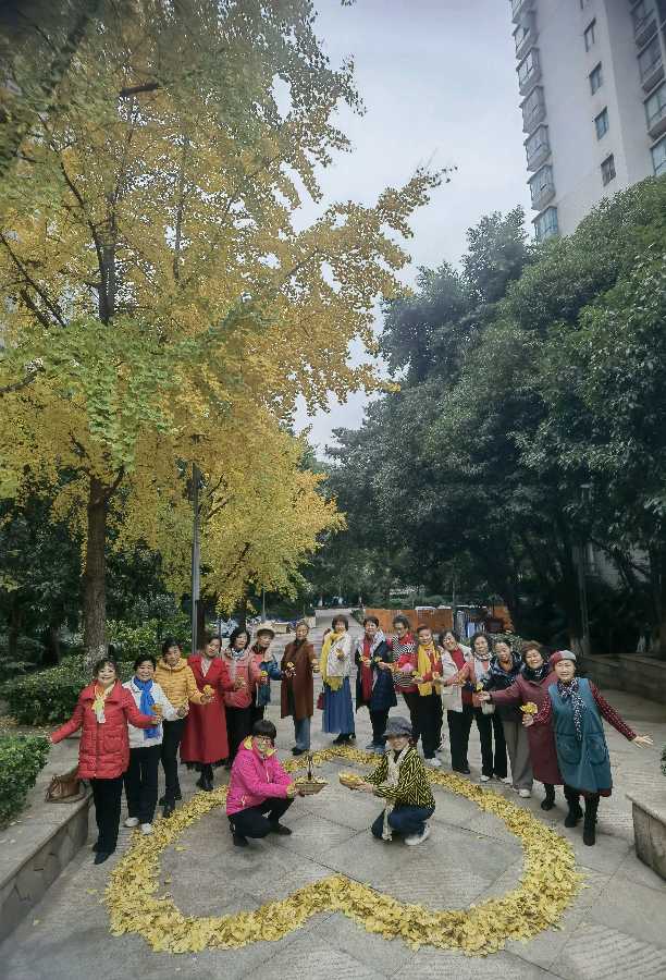 「散文」又是一年叶儿黄（图15）